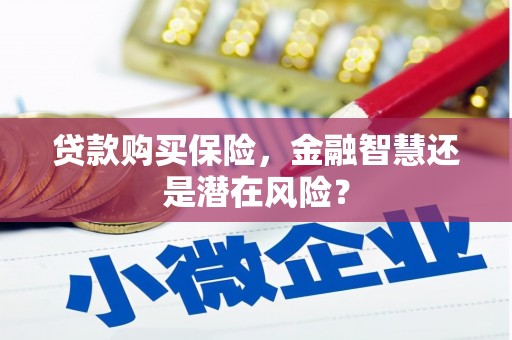 荣县贷款购买保险，金融智慧还是潜在风险？