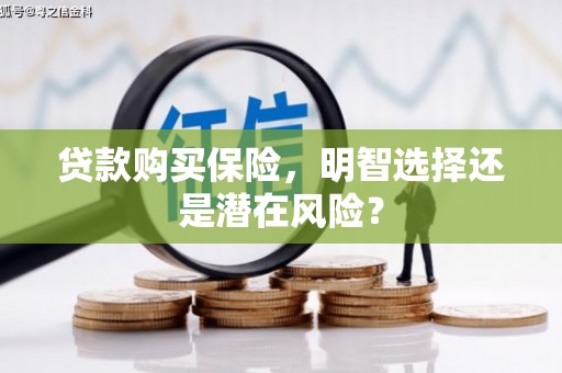 荣县贷款购买保险，明智选择还是潜在风险？