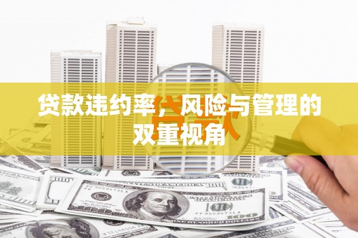 荣县贷款违约率，风险与管理的双重视角