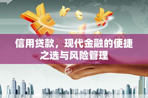 荣县信用贷款，现代金融的便捷之选与风险管理