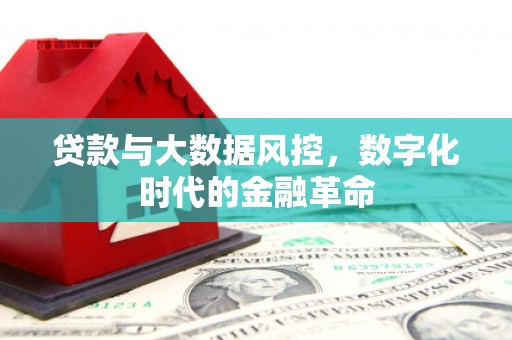 荣县贷款与大数据风控，数字化时代的金融革命