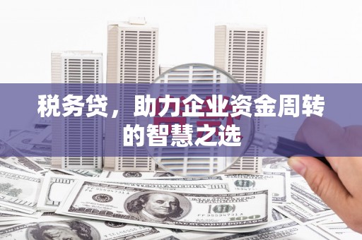 荣县税务贷，助力企业资金周转的智慧之选