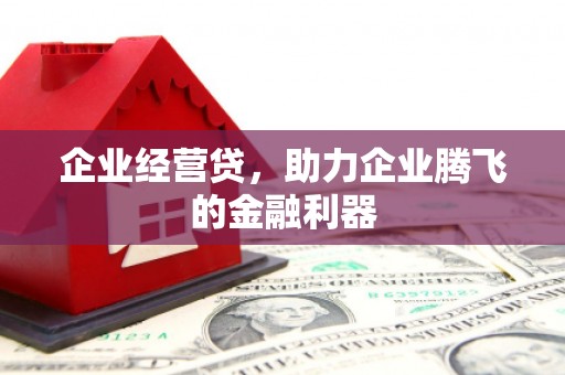 荣县企业经营贷，助力企业腾飞的金融利器