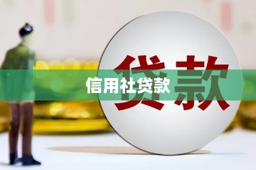 荣县信用社贷款