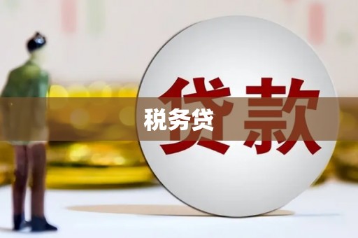荣县税务贷