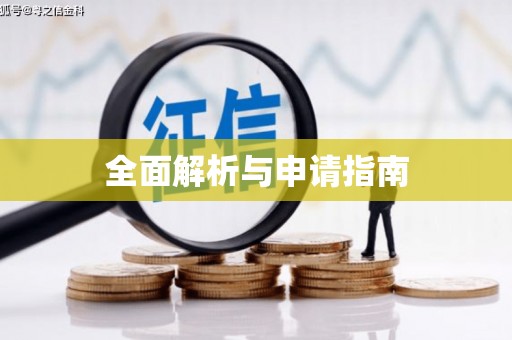 荣县全面解析与申请指南