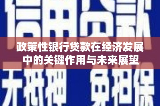 荣县政策性银行贷款在经济发展中的关键作用与未来展望