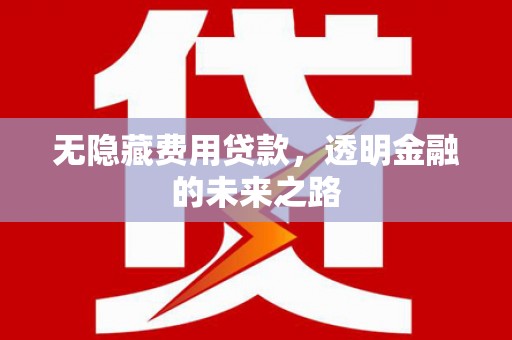 荣县无隐藏费用贷款，透明金融的未来之路