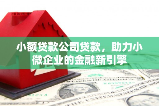 荣县小额贷款公司贷款，助力小微企业的金融新引擎