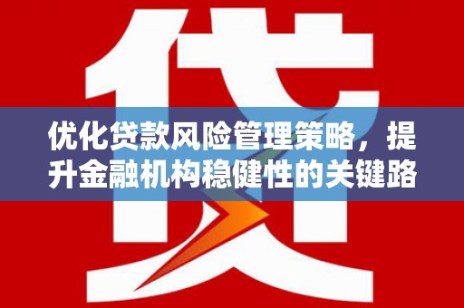 荣县优化贷款风险管理策略，提升金融机构稳健性的关键路径