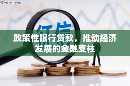 荣县政策性银行贷款，推动经济发展的金融支柱