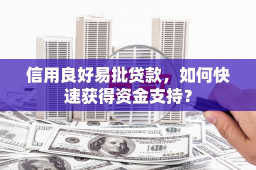 荣县信用良好易批贷款，如何快速获得资金支持？