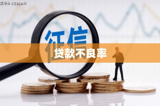 荣县贷款不良率