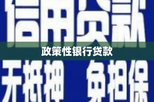 荣县政策性银行贷款