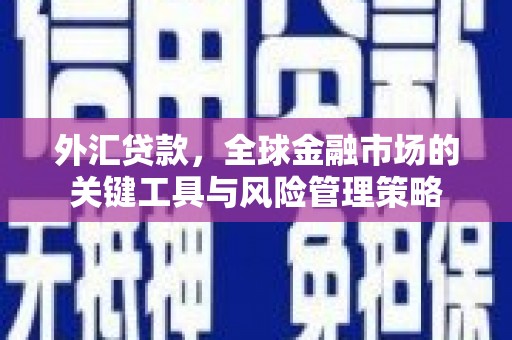 荣县外汇贷款，全球金融市场的关键工具与风险管理策略