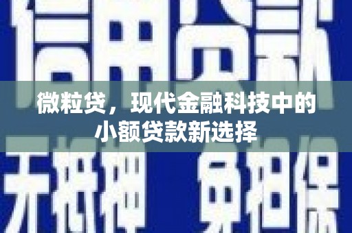 荣县微粒贷，现代金融科技中的小额贷款新选择