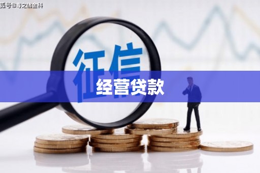 荣县经营贷款