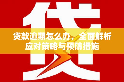 荣县贷款逾期怎么办，全面解析应对策略与预防措施