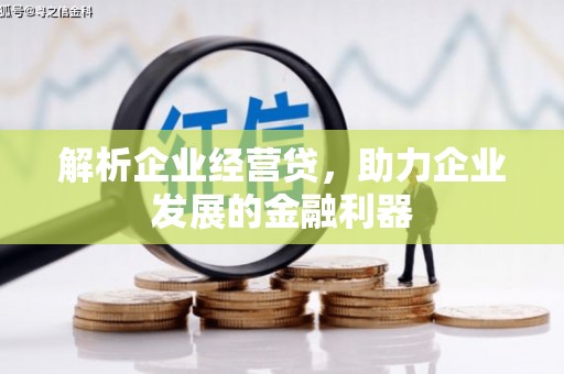 荣县解析企业经营贷，助力企业发展的金融利器