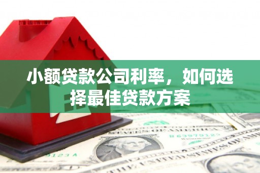 荣县小额贷款公司利率，如何选择最佳贷款方案