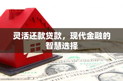 荣县灵活还款贷款，现代金融的智慧选择