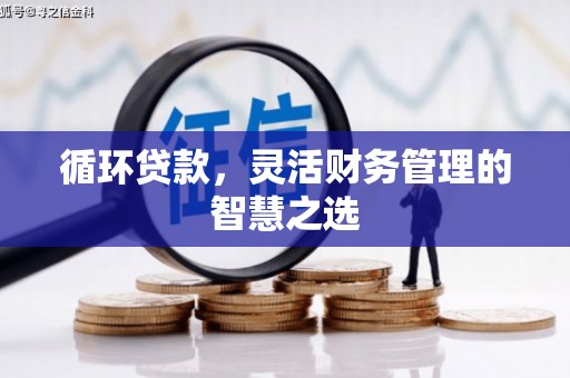 荣县循环贷款，灵活财务管理的智慧之选