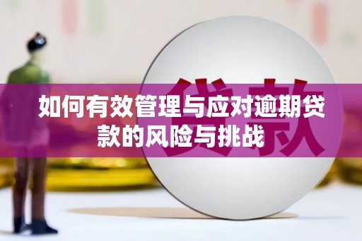 荣县如何有效管理与应对逾期贷款的风险与挑战