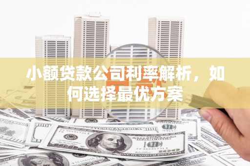 荣县小额贷款公司利率解析，如何选择最优方案