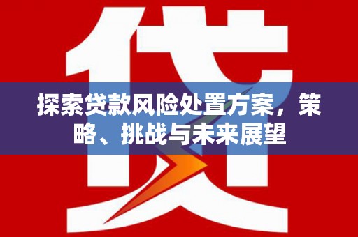 荣县探索贷款风险处置方案，策略、挑战与未来展望
