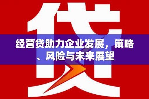 荣县经营贷助力企业发展，策略、风险与未来展望