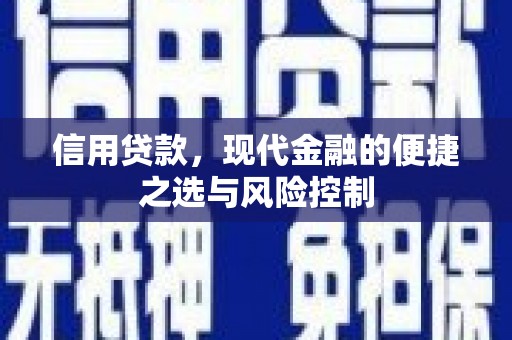 荣县信用贷款，现代金融的便捷之选与风险控制