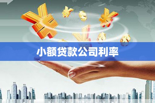 荣县小额贷款公司利率