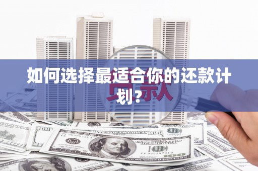 荣县如何选择最适合你的还款计划？