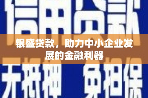 荣县银盛贷款，助力中小企业发展的金融利器