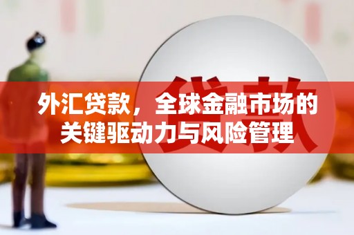 荣县外汇贷款，全球金融市场的关键驱动力与风险管理