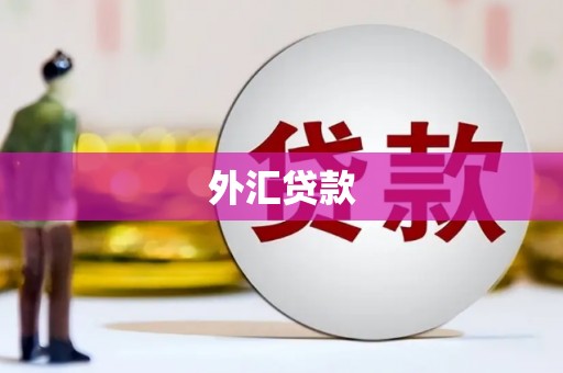 荣县外汇贷款