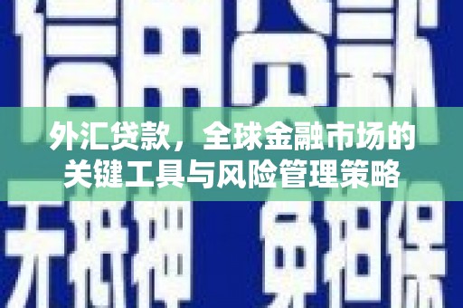 荣县外汇贷款，全球金融市场的关键工具与风险管理策略