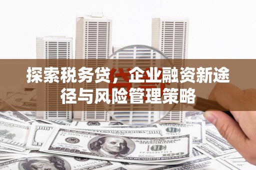 荣县探索税务贷，企业融资新途径与风险管理策略
