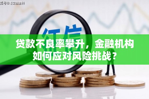 荣县贷款不良率攀升，金融机构如何应对风险挑战？
