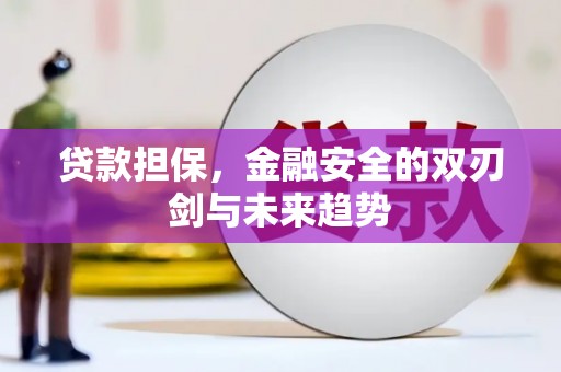 荣县贷款担保，金融安全的双刃剑与未来趋势