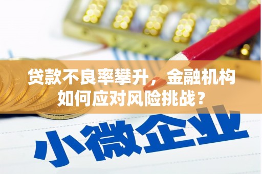 荣县贷款不良率攀升，金融机构如何应对风险挑战？