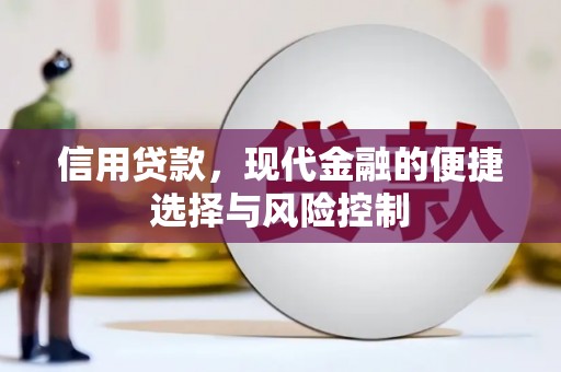 荣县信用贷款，现代金融的便捷选择与风险控制