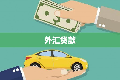 荣县外汇贷款