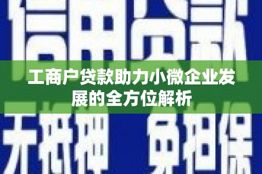 荣县工商户贷款助力小微企业发展的全方位解析