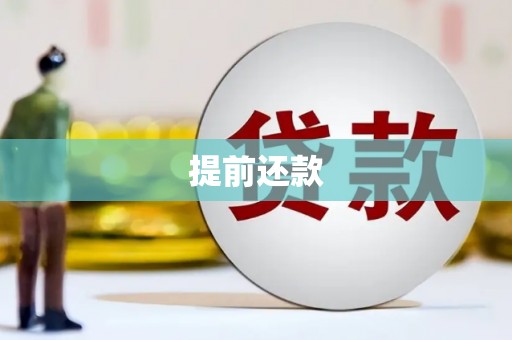 荣县提前还款