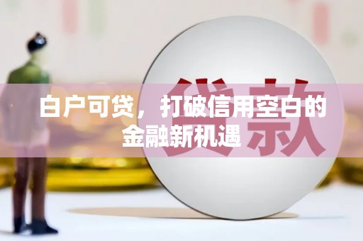 荣县白户可贷，打破信用空白的金融新机遇