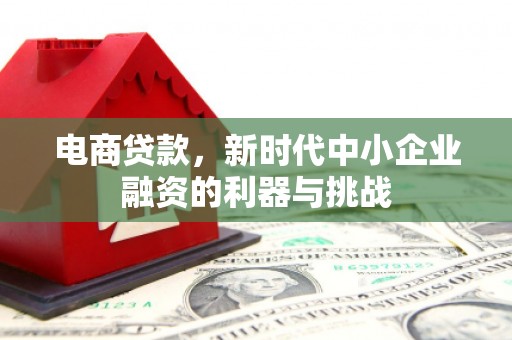荣县电商贷款，新时代中小企业融资的利器与挑战