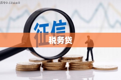 荣县税务贷