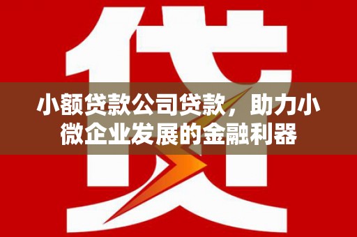 荣县小额贷款公司贷款，助力小微企业发展的金融利器