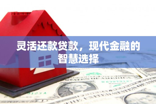 荣县灵活还款贷款，现代金融的智慧选择